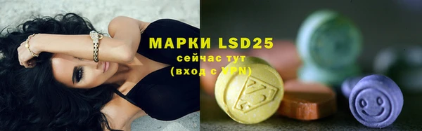 Альфа ПВП Аркадак