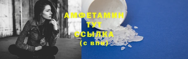 Альфа ПВП Аркадак