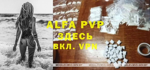 Альфа ПВП Аркадак