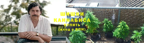 Альфа ПВП Аркадак