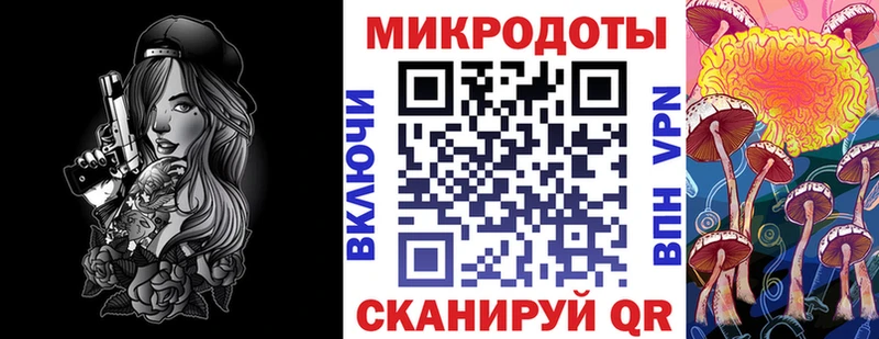 Псилоцибиновые грибы Psilocybine cubensis  omg tor  Городовиковск 